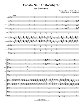 Moonlight Sonata (Movement I) for chamber orchestra
