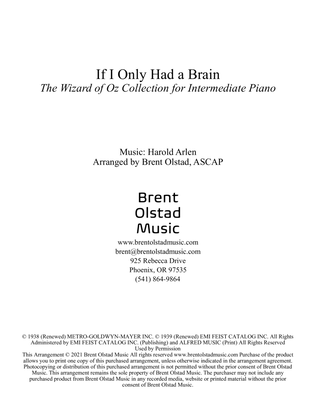 Book cover for If I Only Had A Brain