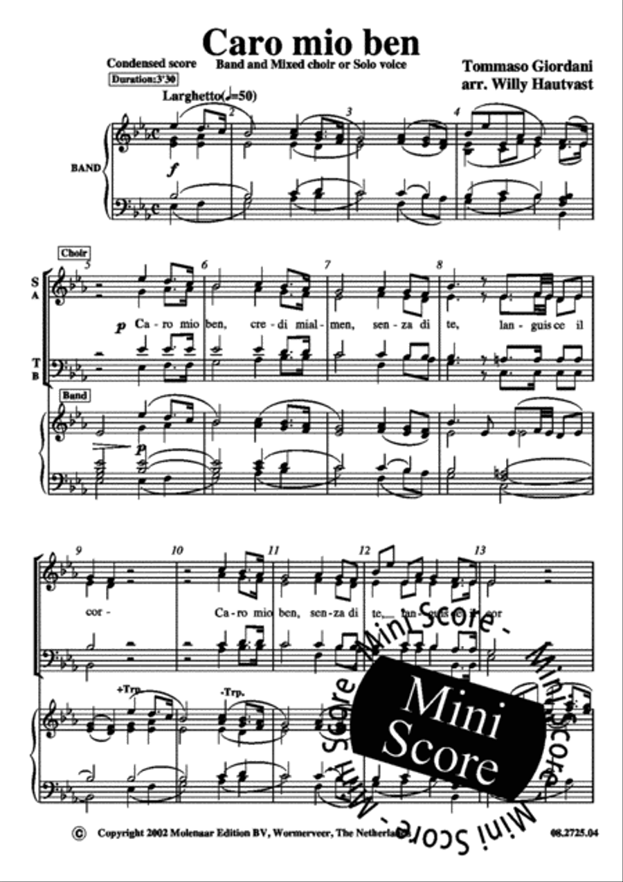 Caro Mio Ben Caro Mio Ben Concert Band scores gallery preview page 12