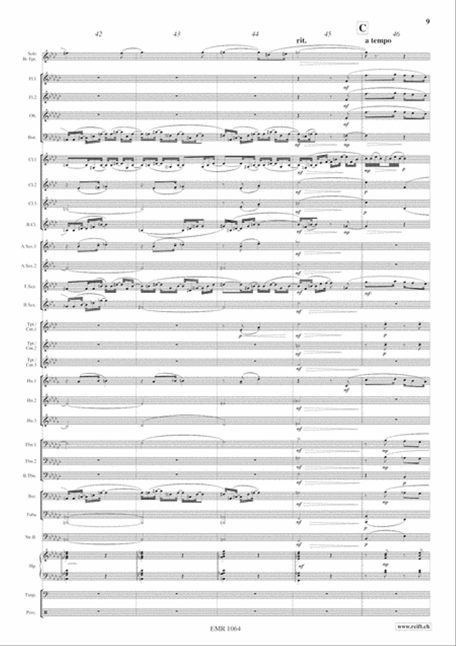 Concerto Concert Band scores gallery preview page 10