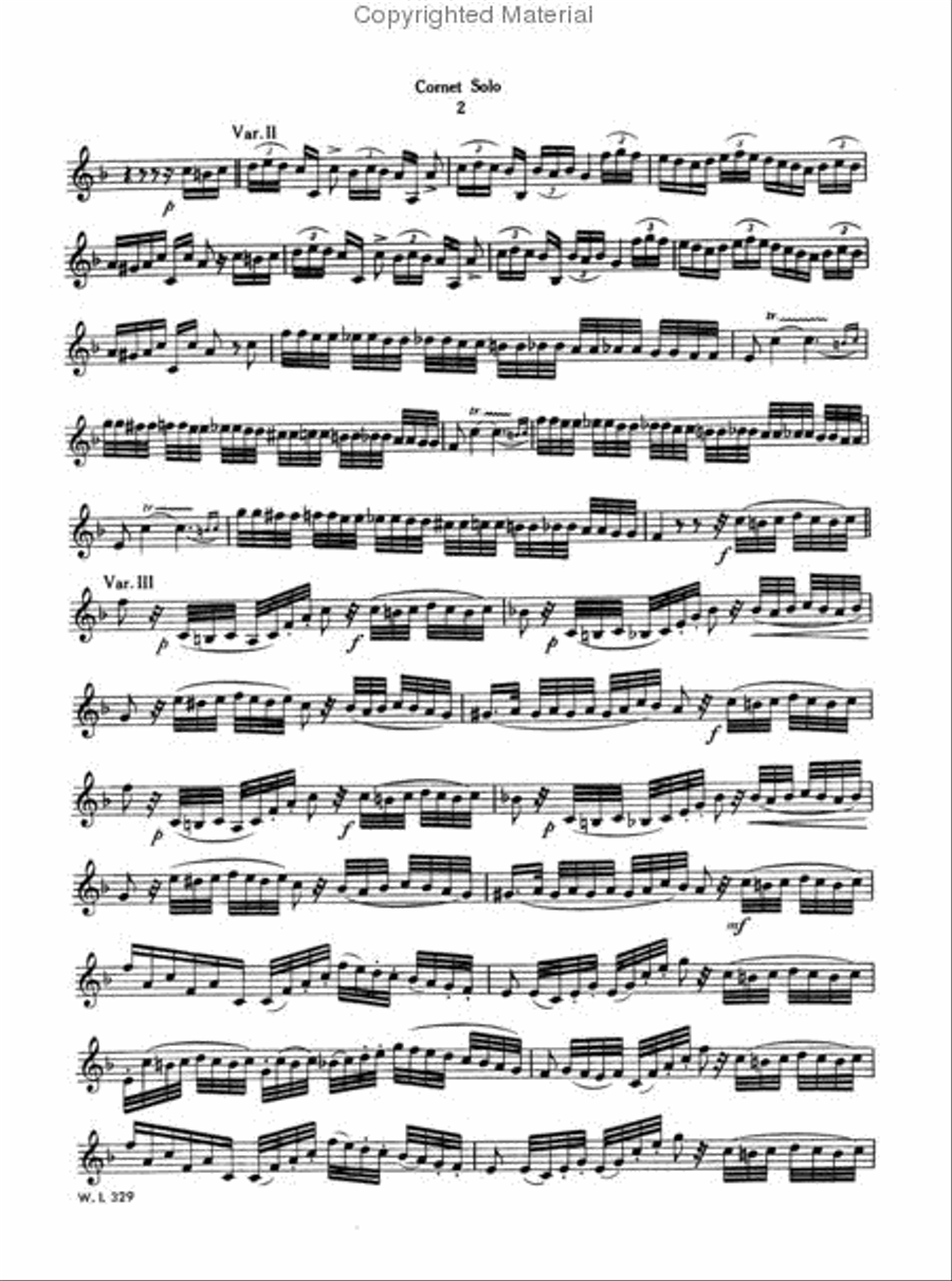 Carnival of Venice: Fantasie, Theme and Variations Small Ensemble scores gallery preview page 3