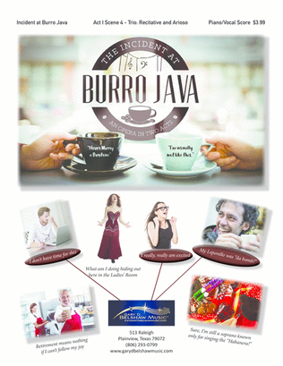 Book cover for Scene from "Incident at Burro Java" SET of 5