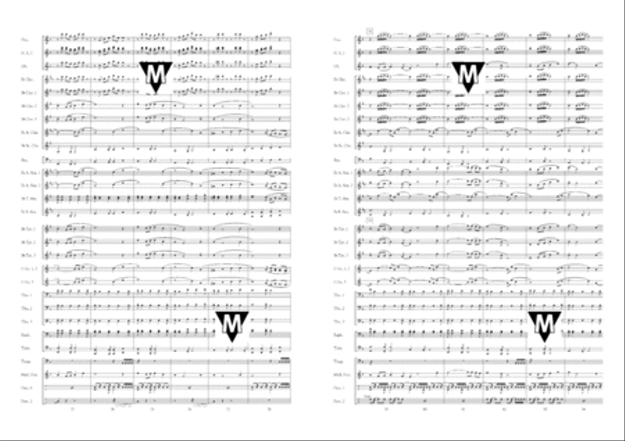 Enjoy Life Enjoy Life Concert Band scores gallery preview page 8