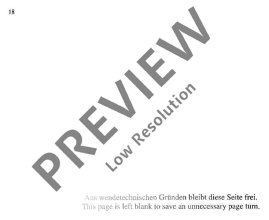 Concerto Concerto Recorder scores gallery preview page 19