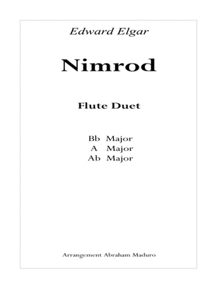 Book cover for Nimrod Flute Duet-Three Tonalities Included