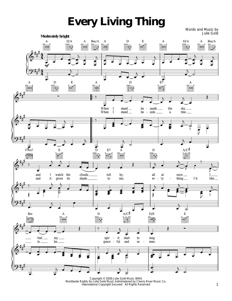 Every Living Thing Every Living Thing Acoustic Guitar scores gallery preview page 1
