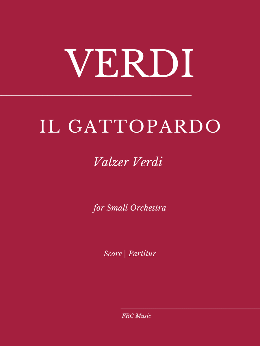 Il Gattopardo (Leopard) for Flute, Clarinet in Bb and String Orchestra Chamber Orchestra scores gallery preview page 1