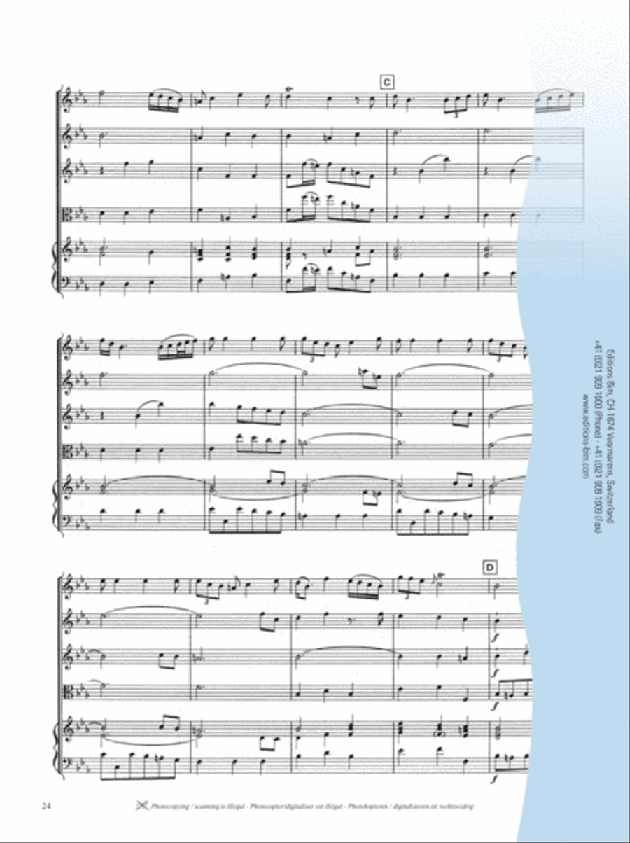 Concerto in Eb Major String Orchestra scores gallery preview page 12