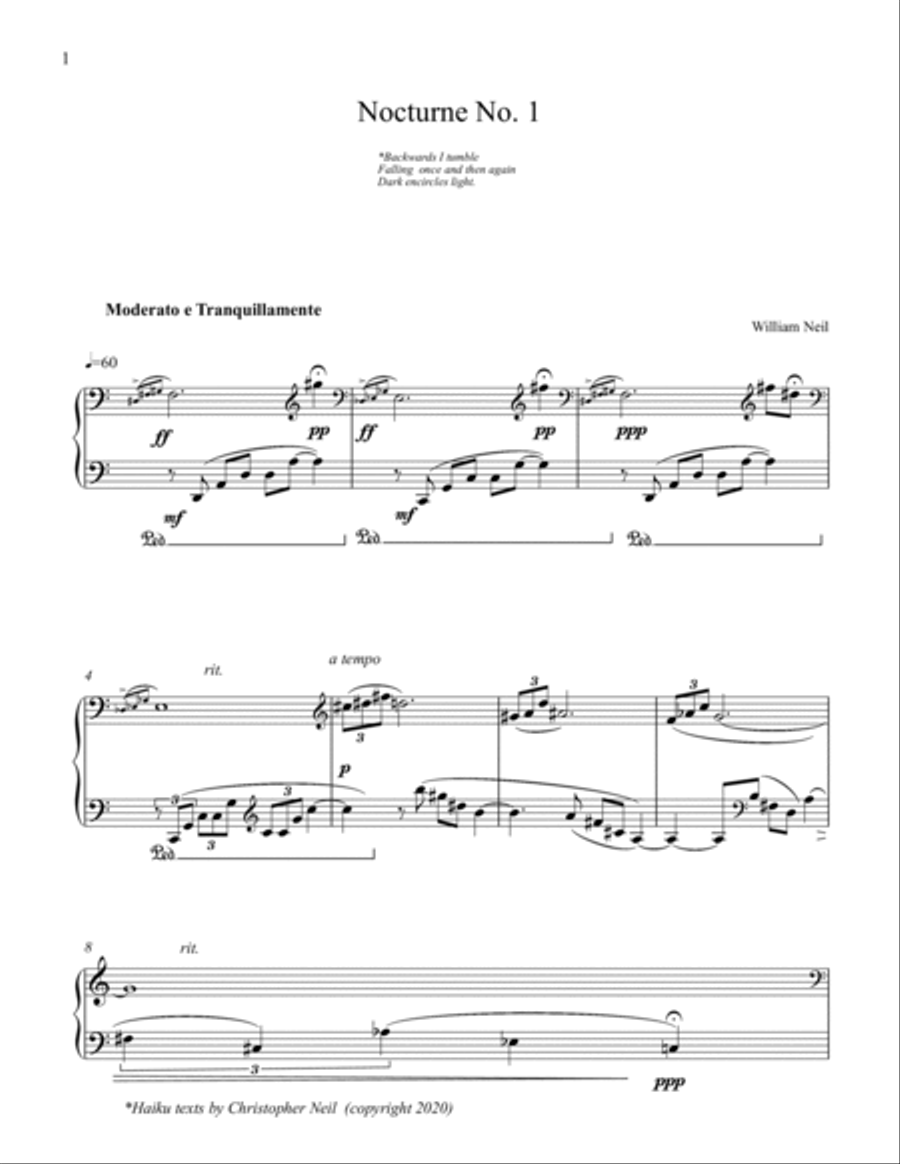 Nine Nocturnes for solo piano Piano Solo scores gallery preview page 4