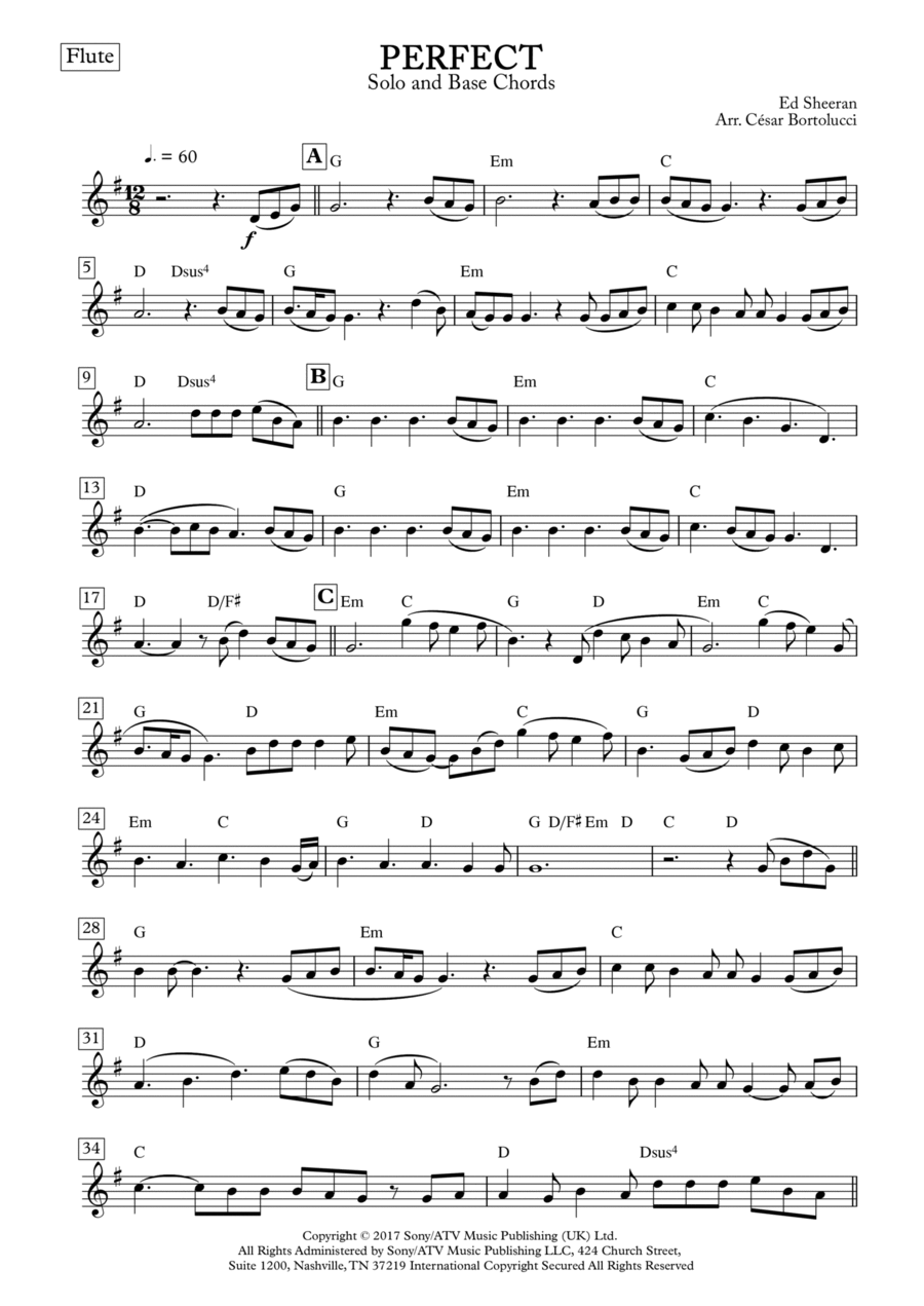 Perfect Flute Solo scores gallery preview page 1