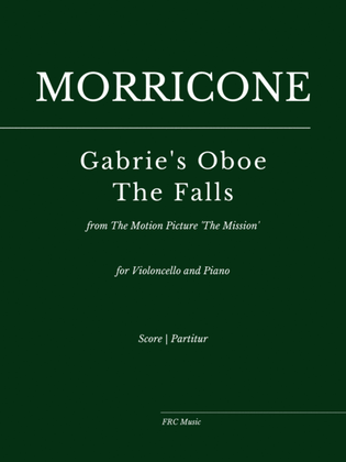 Book cover for Falls