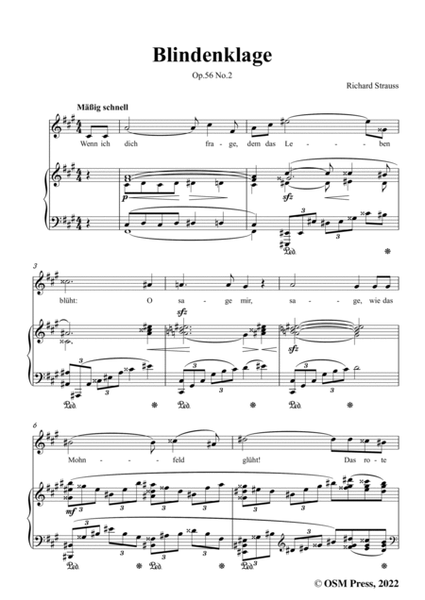 Richard Strauss-Blindenklage,in f sharp minor image number null