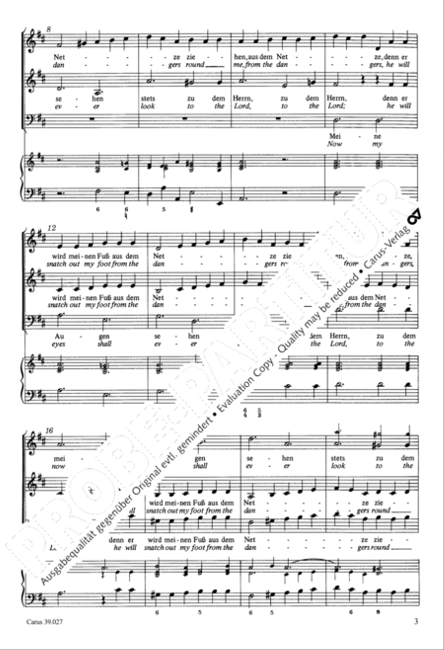 Now my eyes shall ever look to the Lord (Meine Augen sehen stets zu dem Herrn) SA scores gallery preview page 4