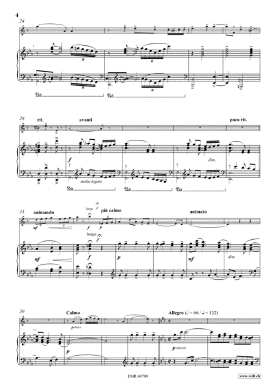 Fantasia Clarinet Solo scores gallery preview page 4
