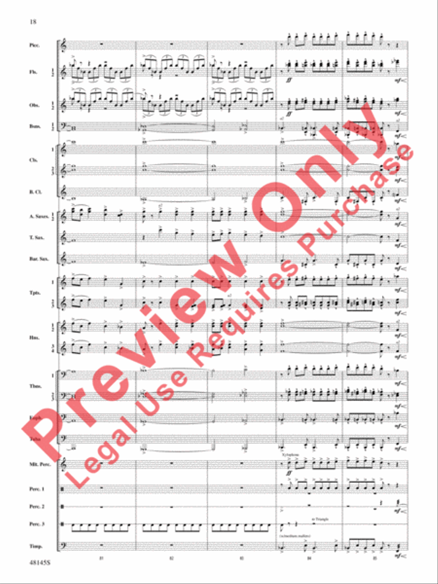 The River Seneca The River Seneca Concert Band scores gallery preview page 19
