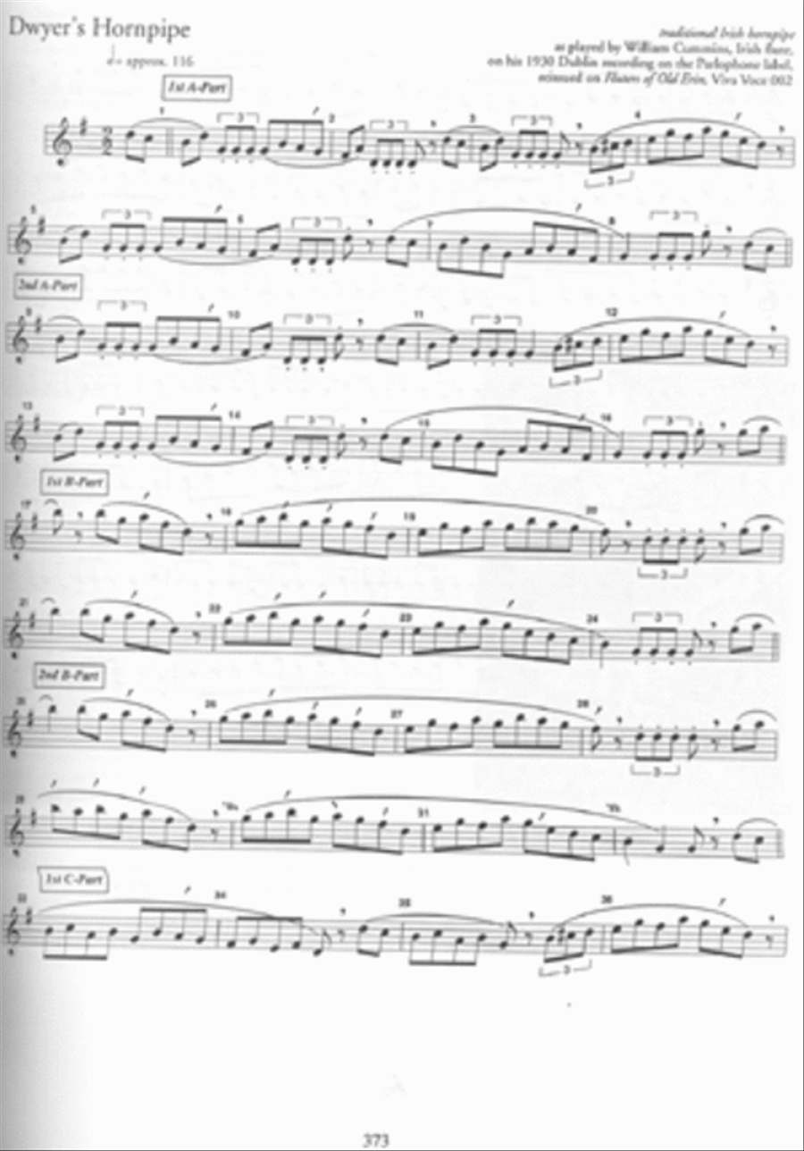 Essential Guide to Irish Flute and Tin Whistle Flute Sheet
