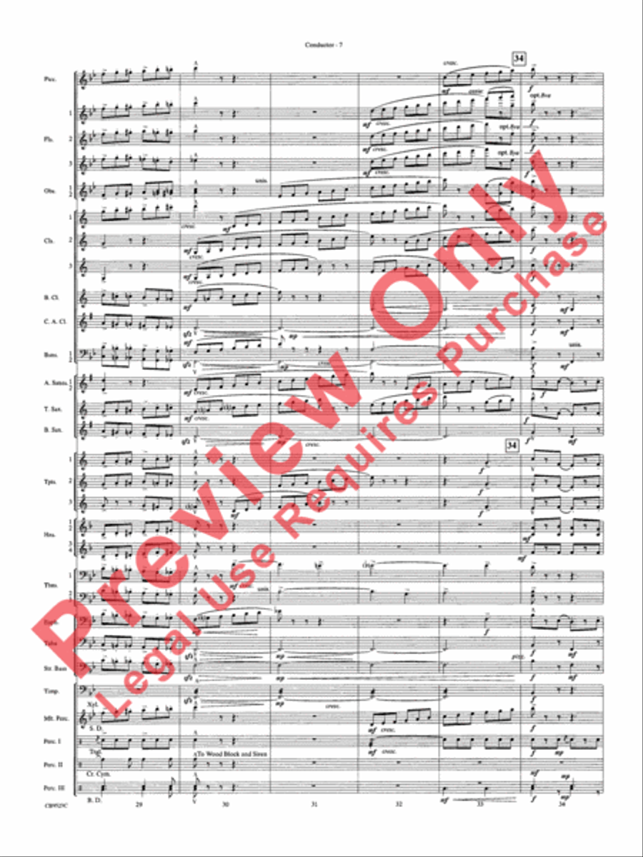 The Wizard of Oz The Wizard of Oz Concert Band scores gallery preview page 10
