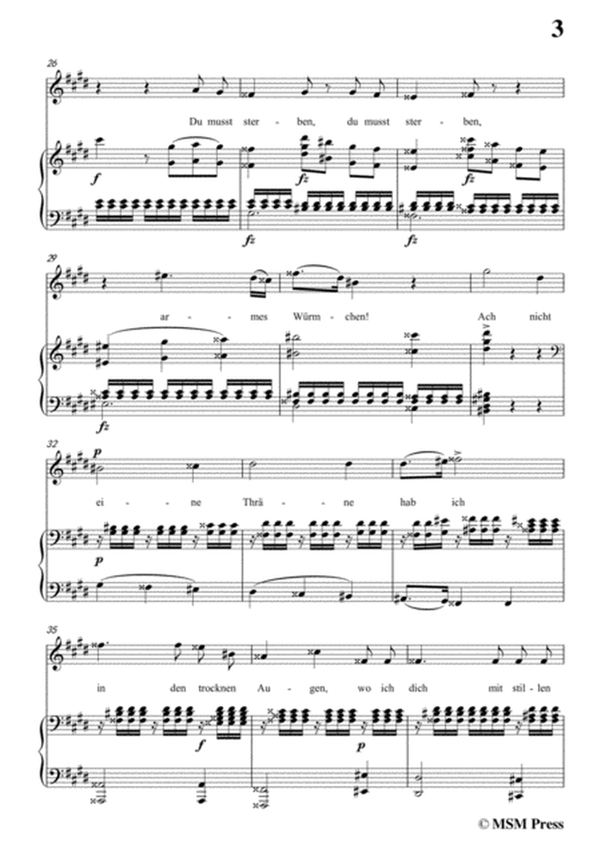 Schubert-Hagars Klage(Hagar's Lament),D.5,in c sharp minor,for Voice&Piano image number null