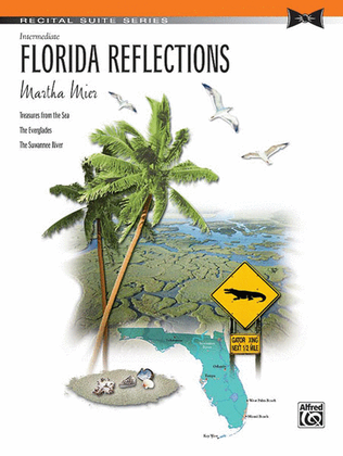 Book cover for Florida Reflections