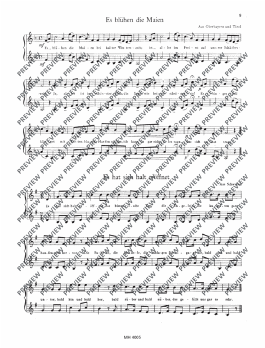Fun for Two Fun for Two Performance Score scores gallery preview page 10