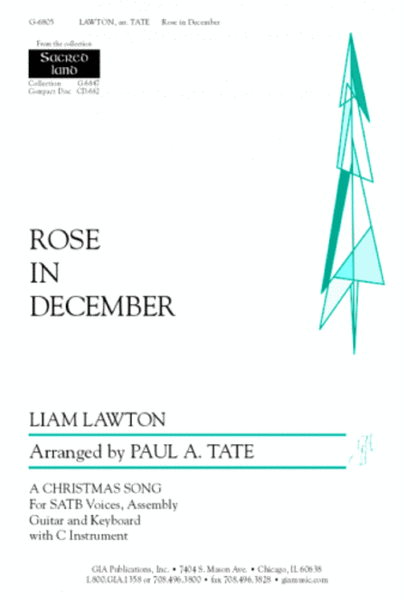 Rose in December image number null