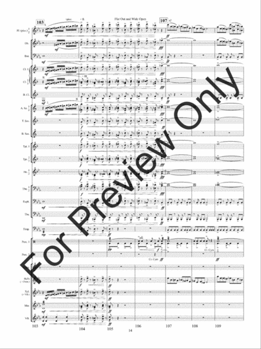 Flat Out and Wide Open Concert Band scores gallery preview page 17