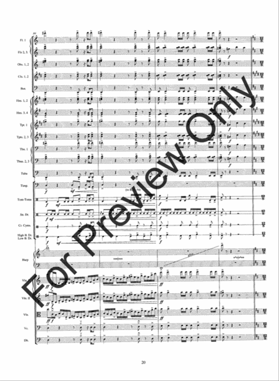 Warrior's Run String Orchestra scores gallery preview page 23