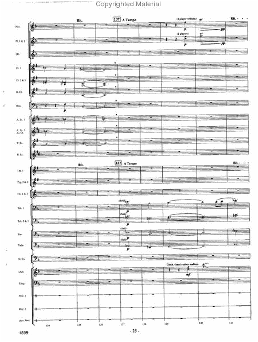 Into the Raging River Into the Raging River Concert Band scores gallery preview page 24