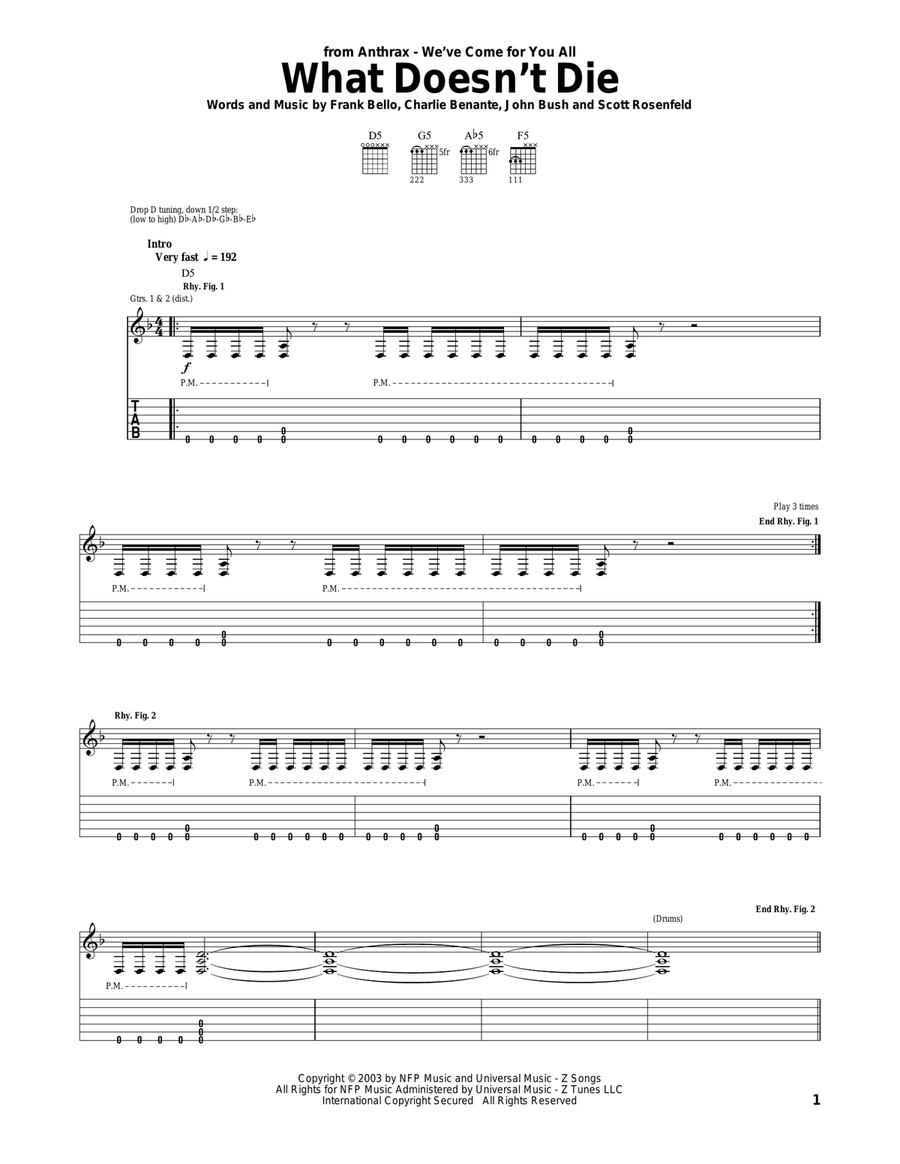 What Doesn't Die What Doesn't Die Acoustic Guitar scores gallery preview page 1