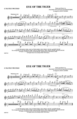 Book cover for Eye of the Tiger: Flute