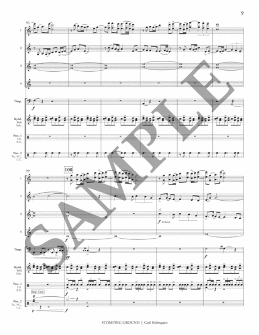 Stomping Ground (transposed score) Flexible/Adaptable scores gallery preview page 14