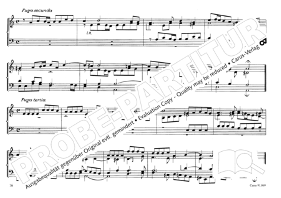 Musikalischer Blumenstrauss Organ Solo scores gallery preview page 19