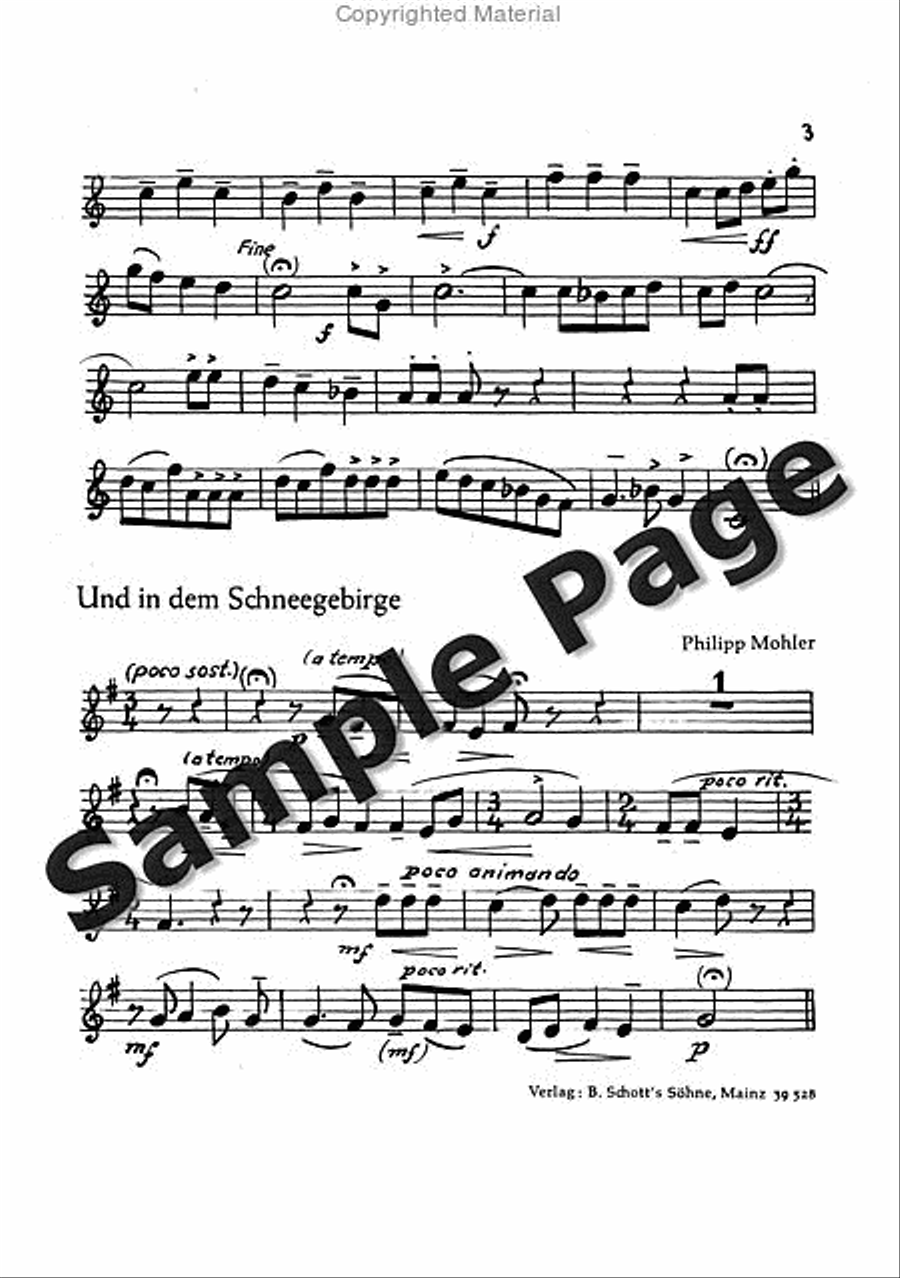 Mohler Ph Festliche Liedkantate Op37(dsb TTBB scores gallery preview page 24