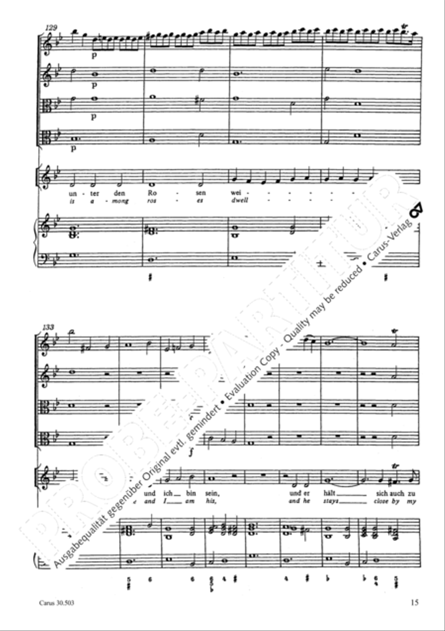 My beloved, you are fair (Meine Freundin, du bist schon) 4-Part scores gallery preview page 18