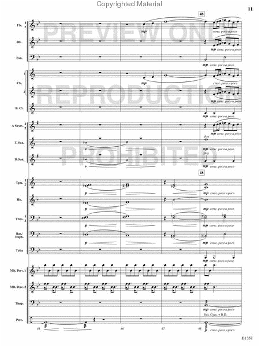 Rain Rain Concert Band scores gallery preview page 10