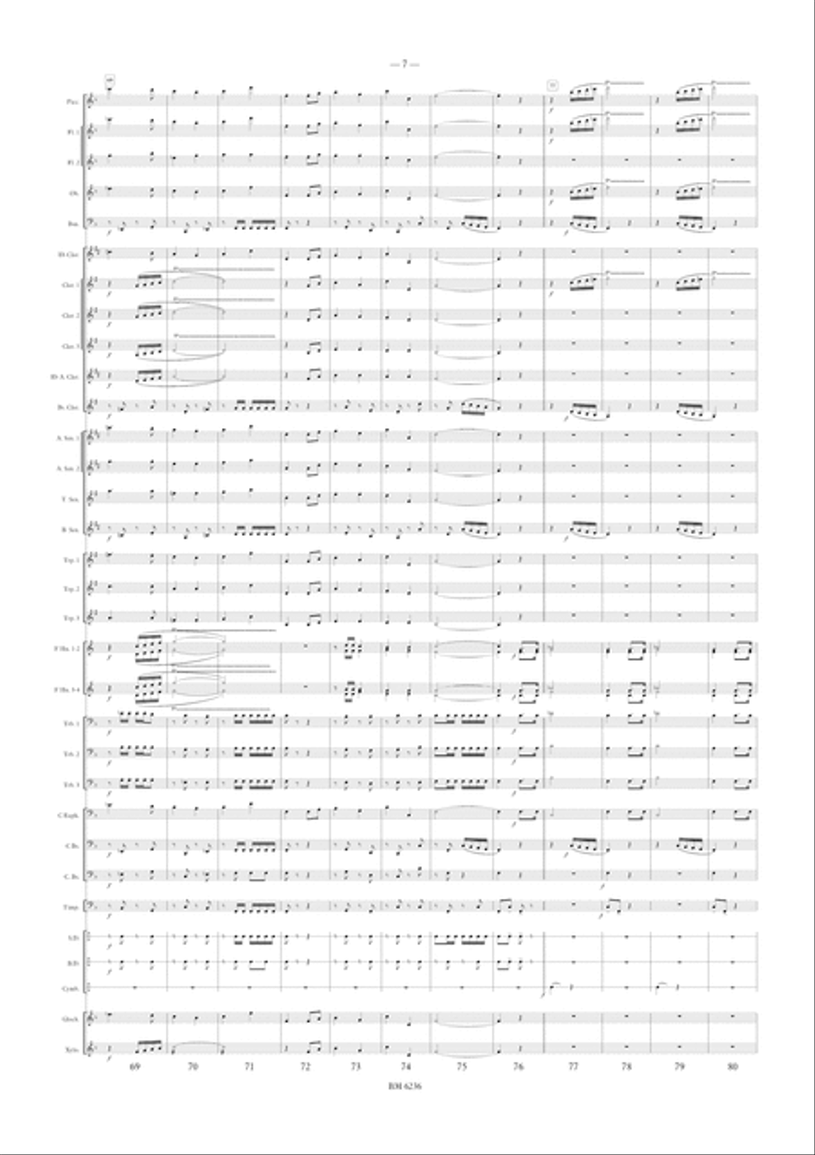 The Admiration for Wind Band The Admiration for Wind Band Concert Band scores gallery preview page 8
