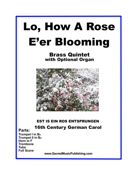 Lo, How A Rose E’er Blooming -  Brass Quintet with Optional Organ image number null