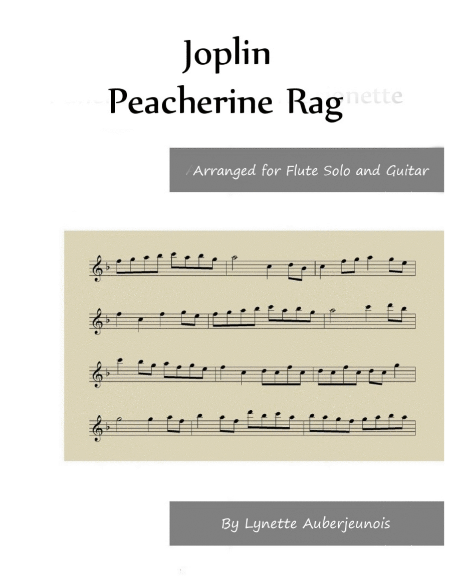 Peacherine Rag Theme - Flute Solo with Guitar Chords image number null