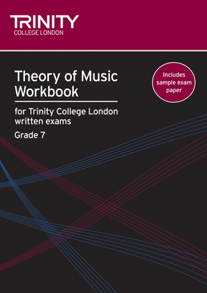 Book cover for Theory Workbook Grade 7