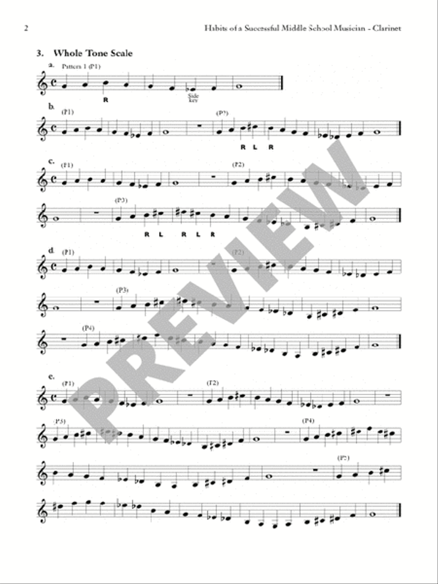 Habits of a online successful musician flute
