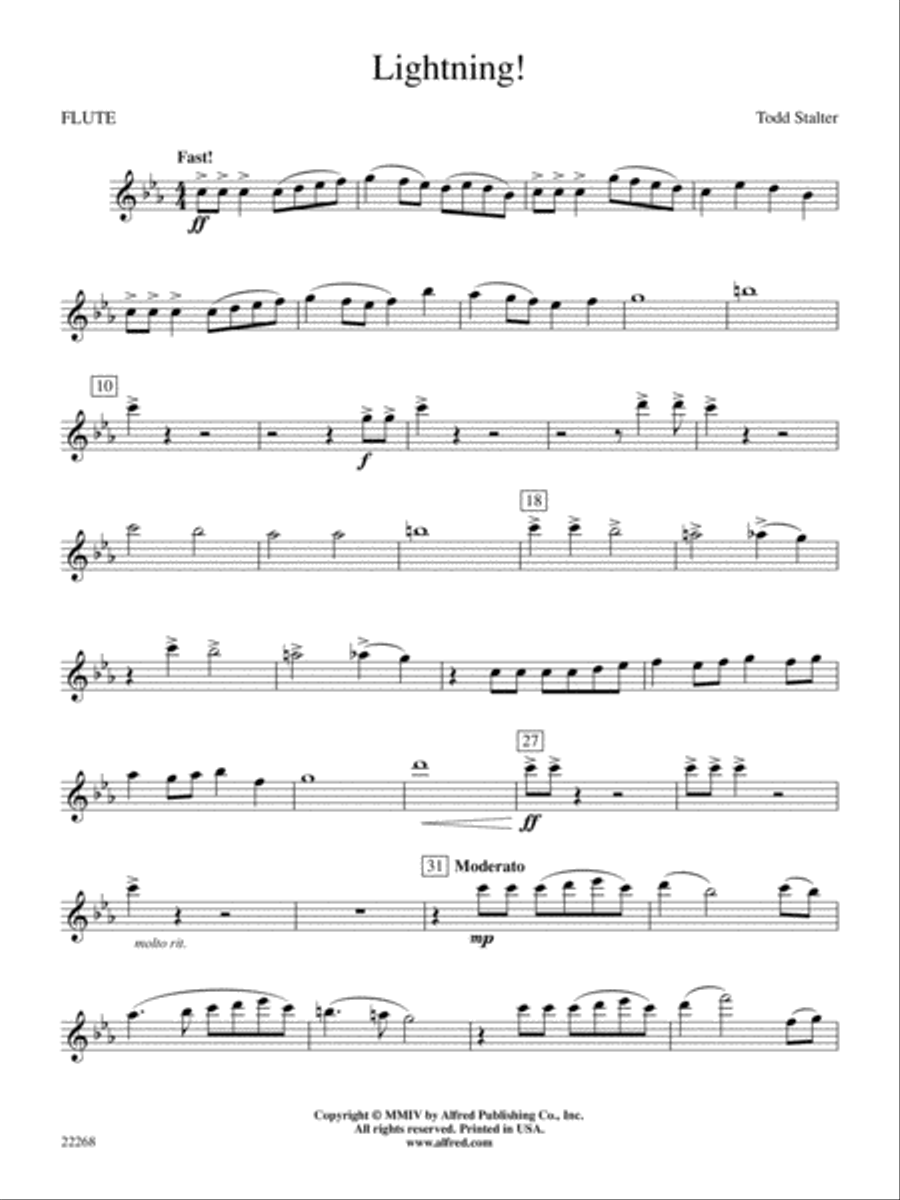 Lightning!: Flute Concert Band scores gallery preview page 1