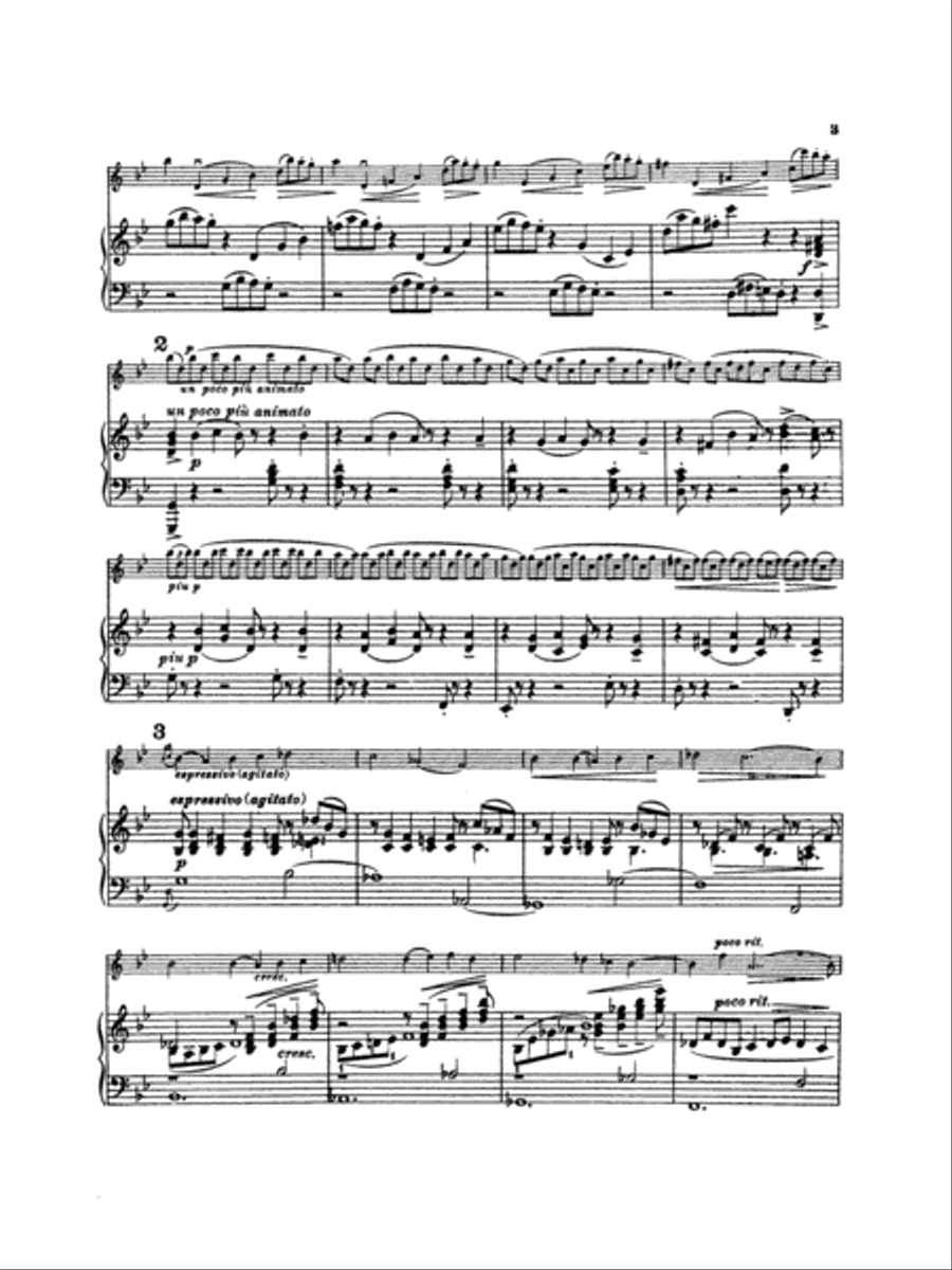 Chaconne in G Minor Small Ensemble scores gallery preview page 4