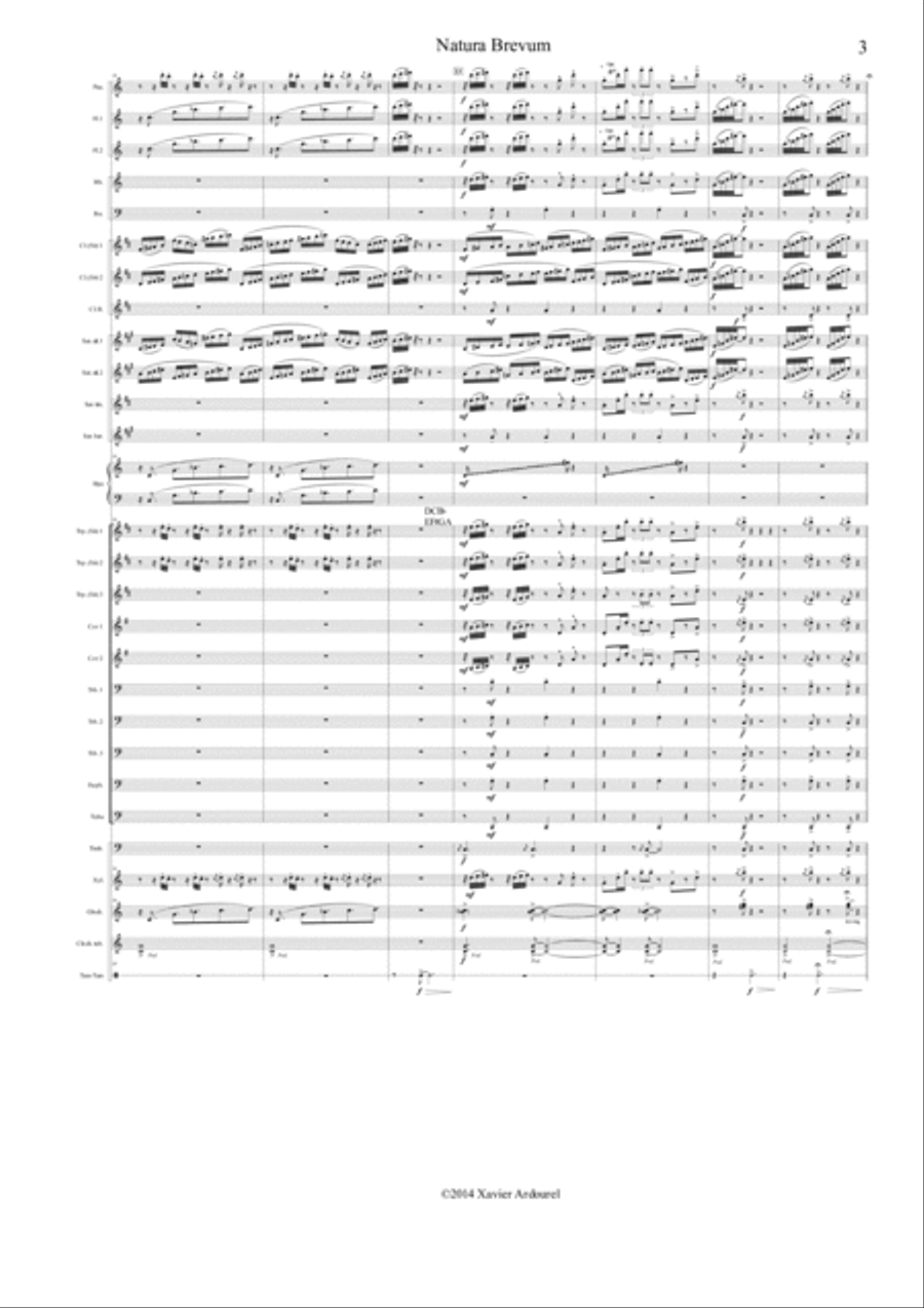 NATURA BREVUM NATURA BREVUM Concert Band scores gallery preview page 3