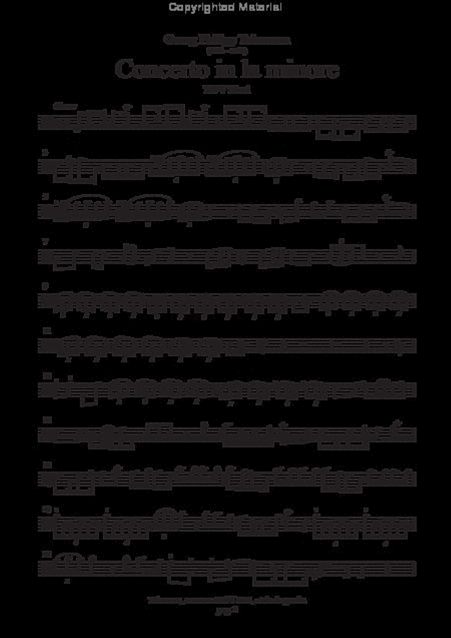 Concerto in la minore TWV 52:a1 Recorder scores gallery preview page 3
