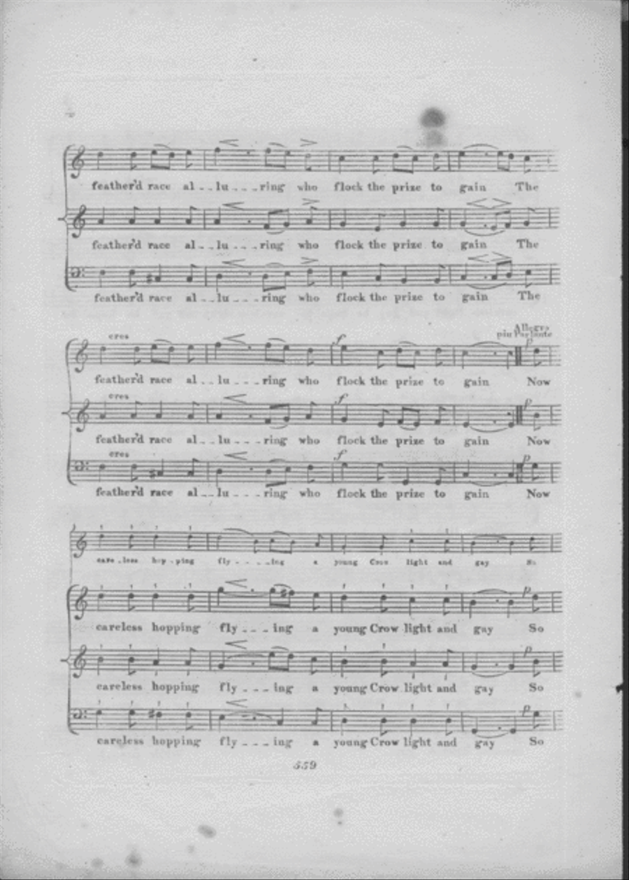 Crows in a Cornfield. A Fable Voice scores gallery preview page 3