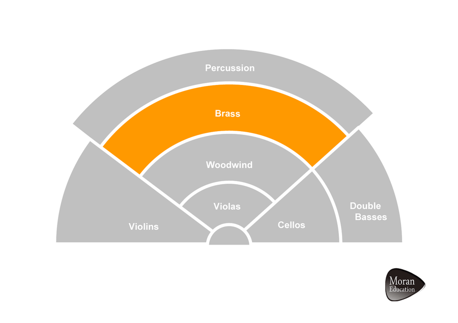 Instruments of the Orchestra Flash Cards Full Orchestra scores gallery preview page 5