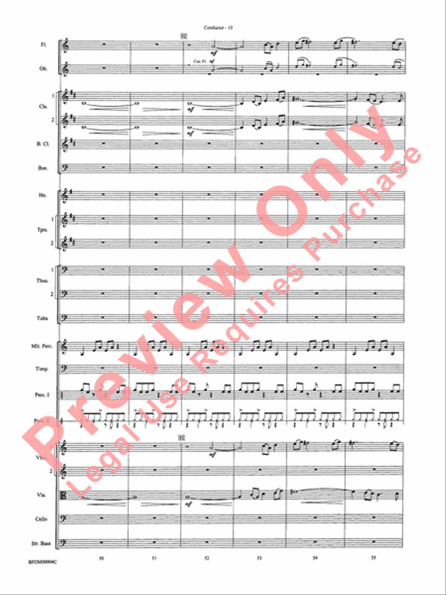 Rites of Tamburo Rites of Tamburo Full Orchestra scores gallery preview page 13
