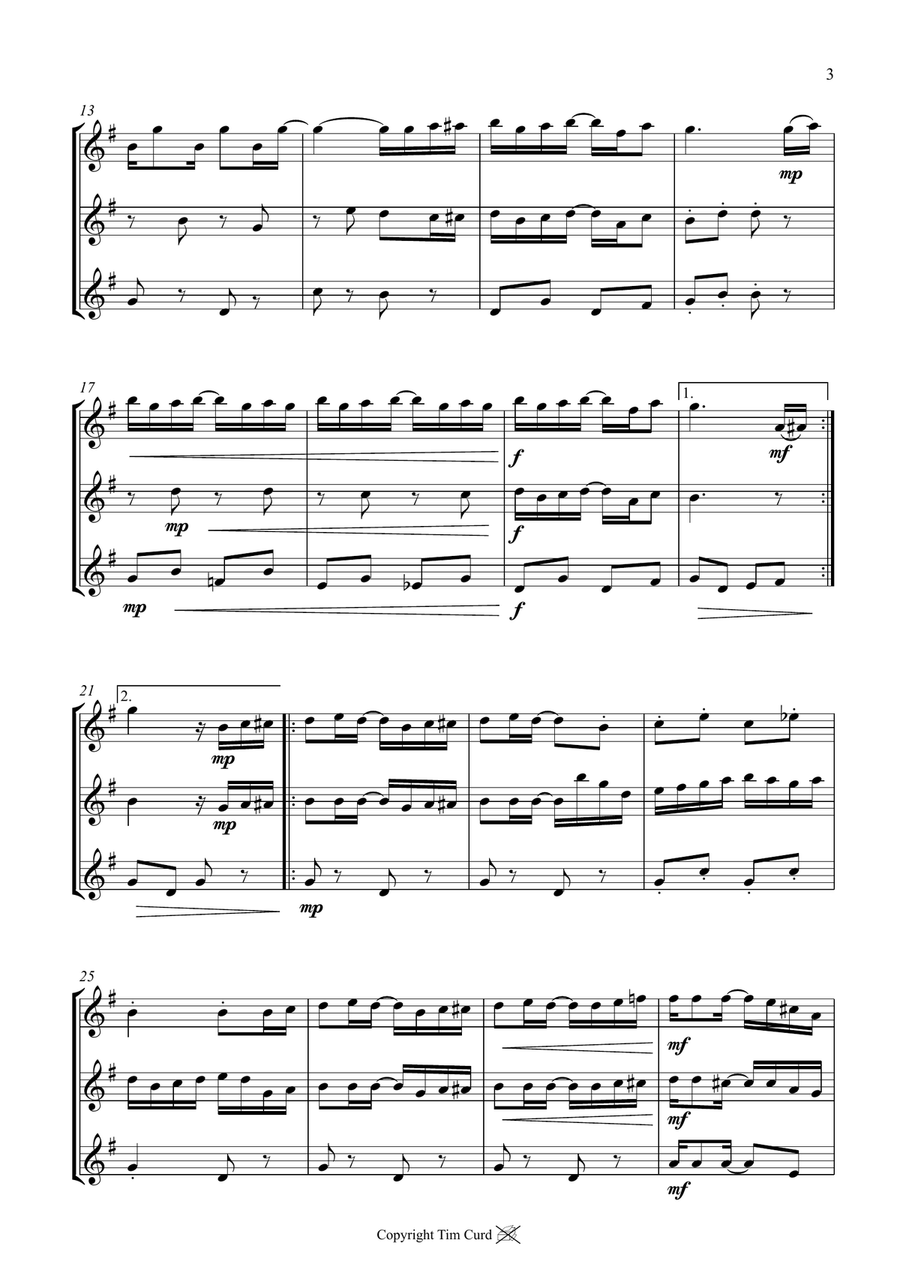 The Entertainer. For Flute Trio Flute Trio scores gallery preview page 3