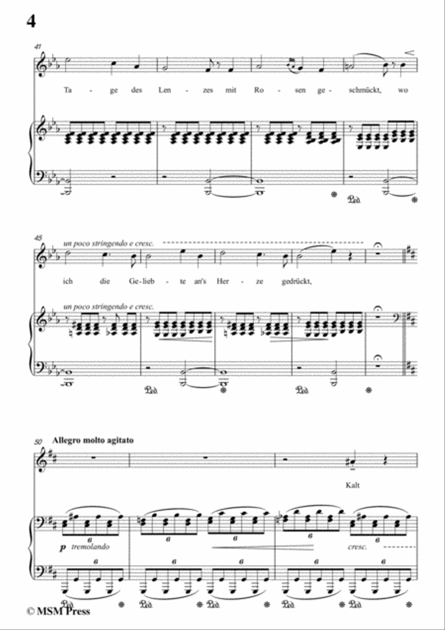 Liszt-Es rauschen die winde in D Major,for Voice and Piano Voice Solo scores gallery preview page 6