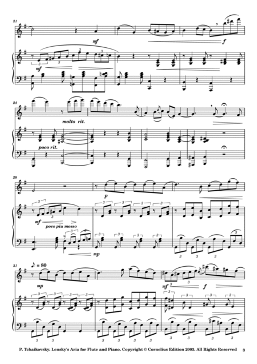 Tchaikovsky Concert Paraphrase on Lensky's Aria from Eugene Onegin Flute and Piano Woodwind Duet scores gallery preview page 3